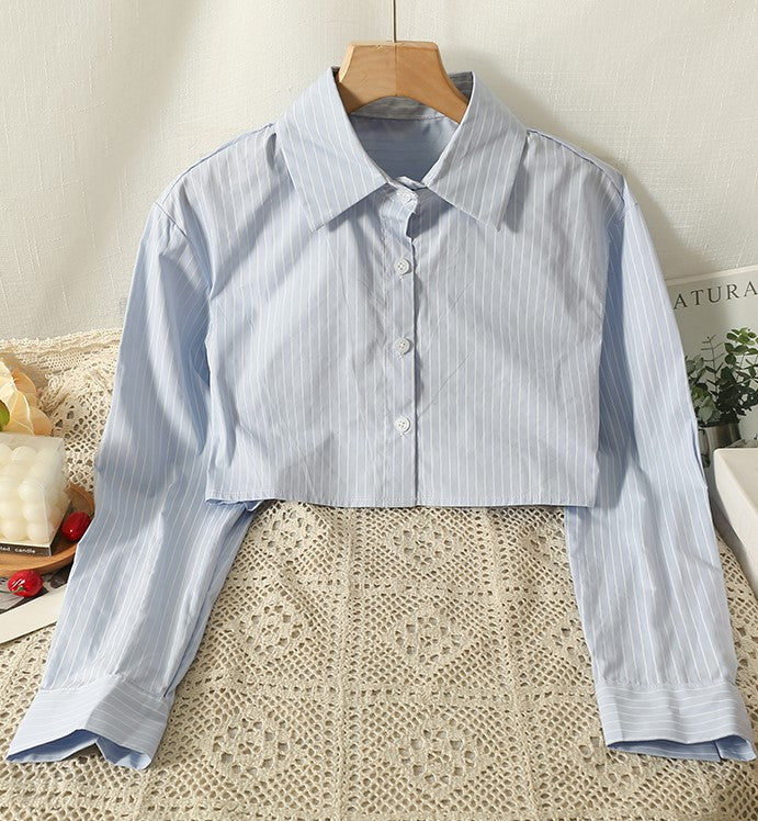 Blue Shirt And Grey Vest Two-Piece Set