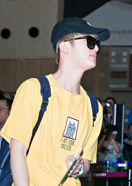 Yellow Cat I Am Your Master T-Shirt