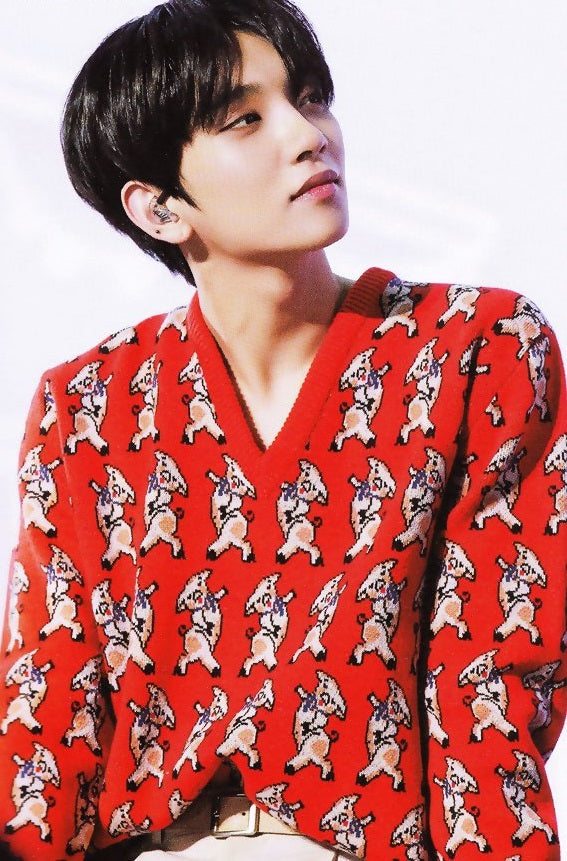 Red Happy Pigs Sweater