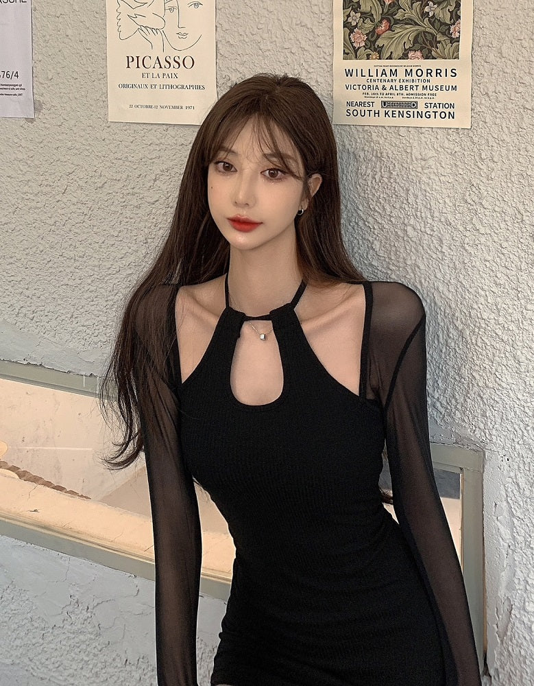 Black Fitted Dress With Mesh Sleeves