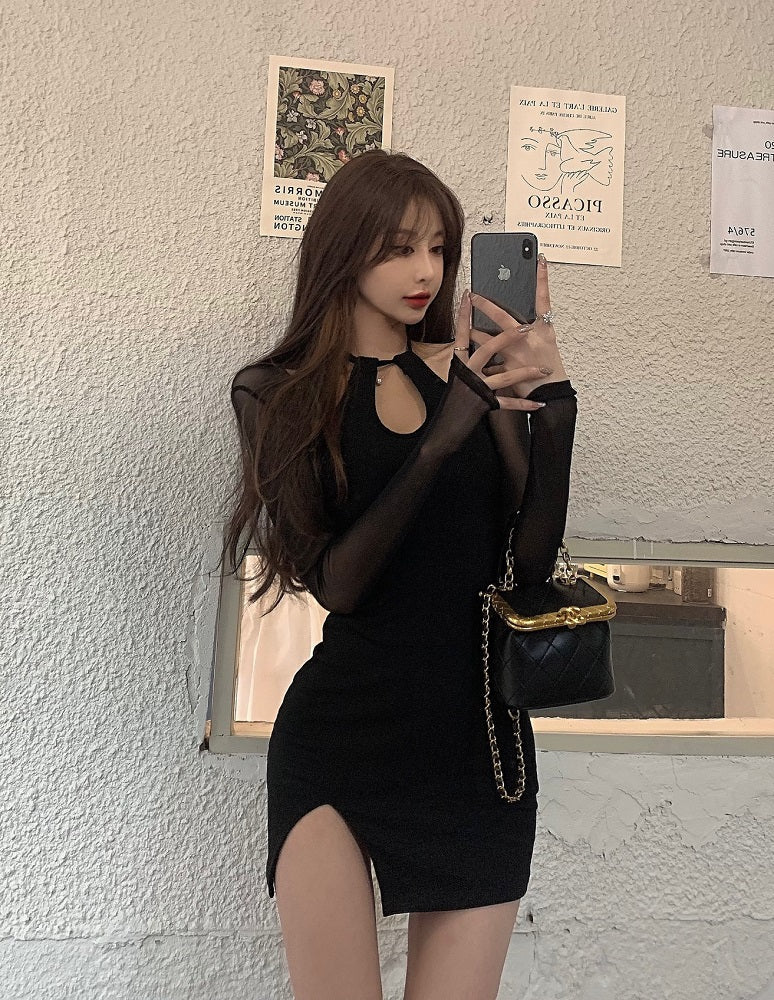 Black Fitted Dress With Mesh Sleeves