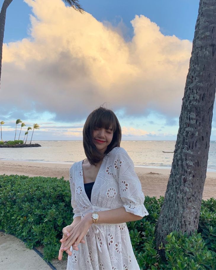 White Embroidery V-Neck Dress