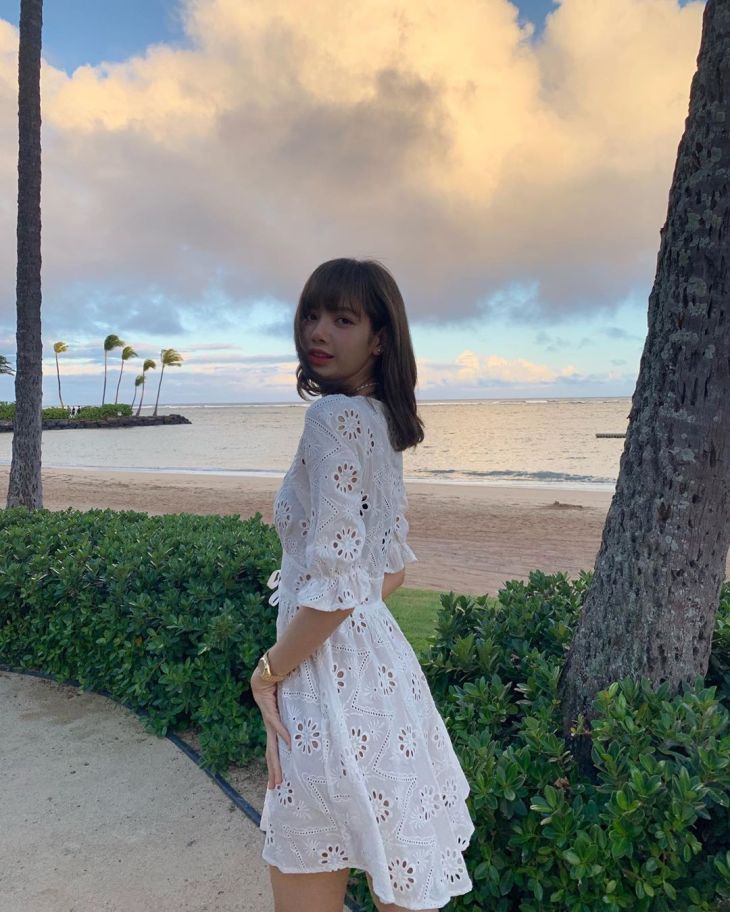 White Embroidery V-Neck Dress