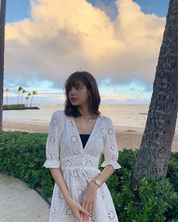 White Embroidery V-Neck Dress