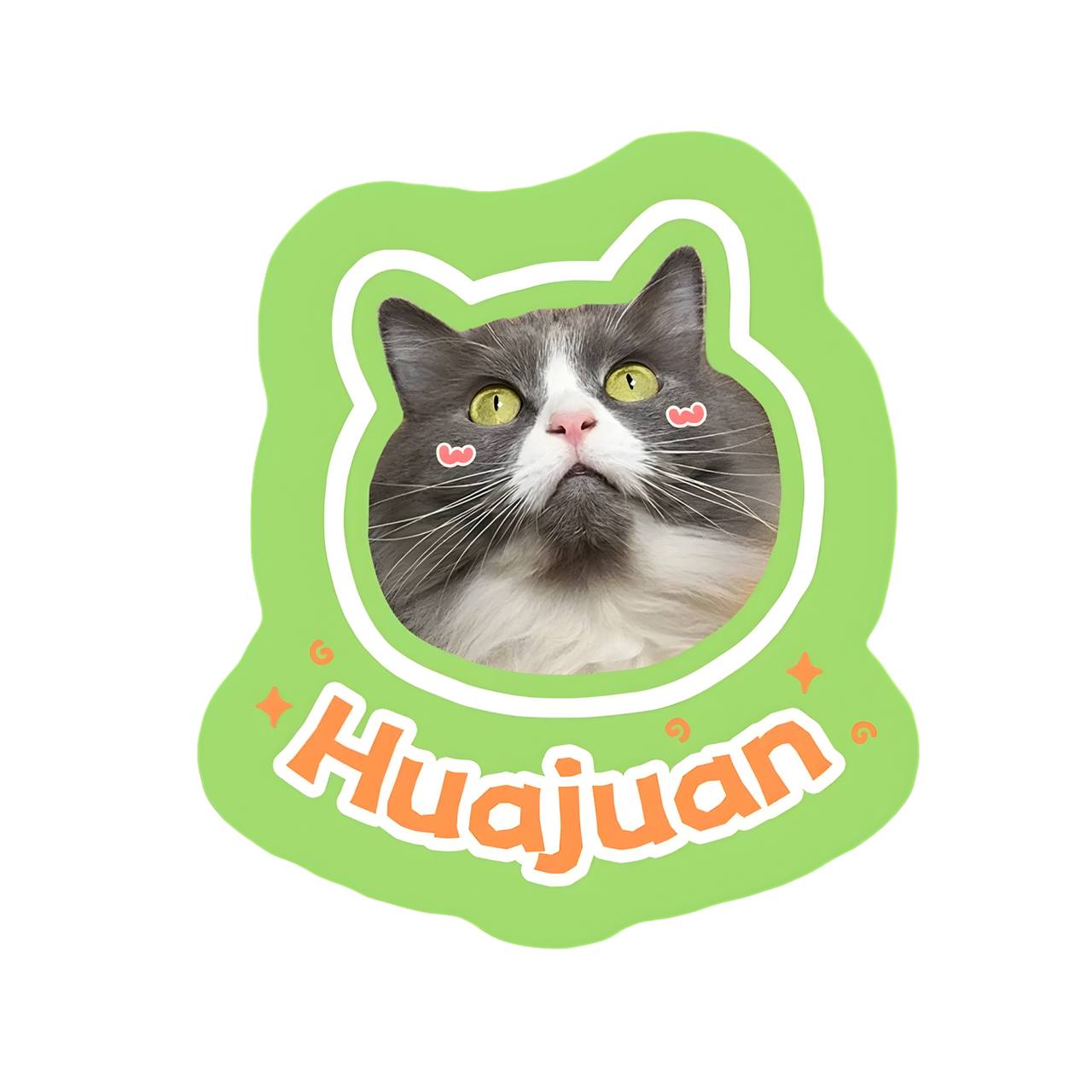 Custom Pet Rug From Photo