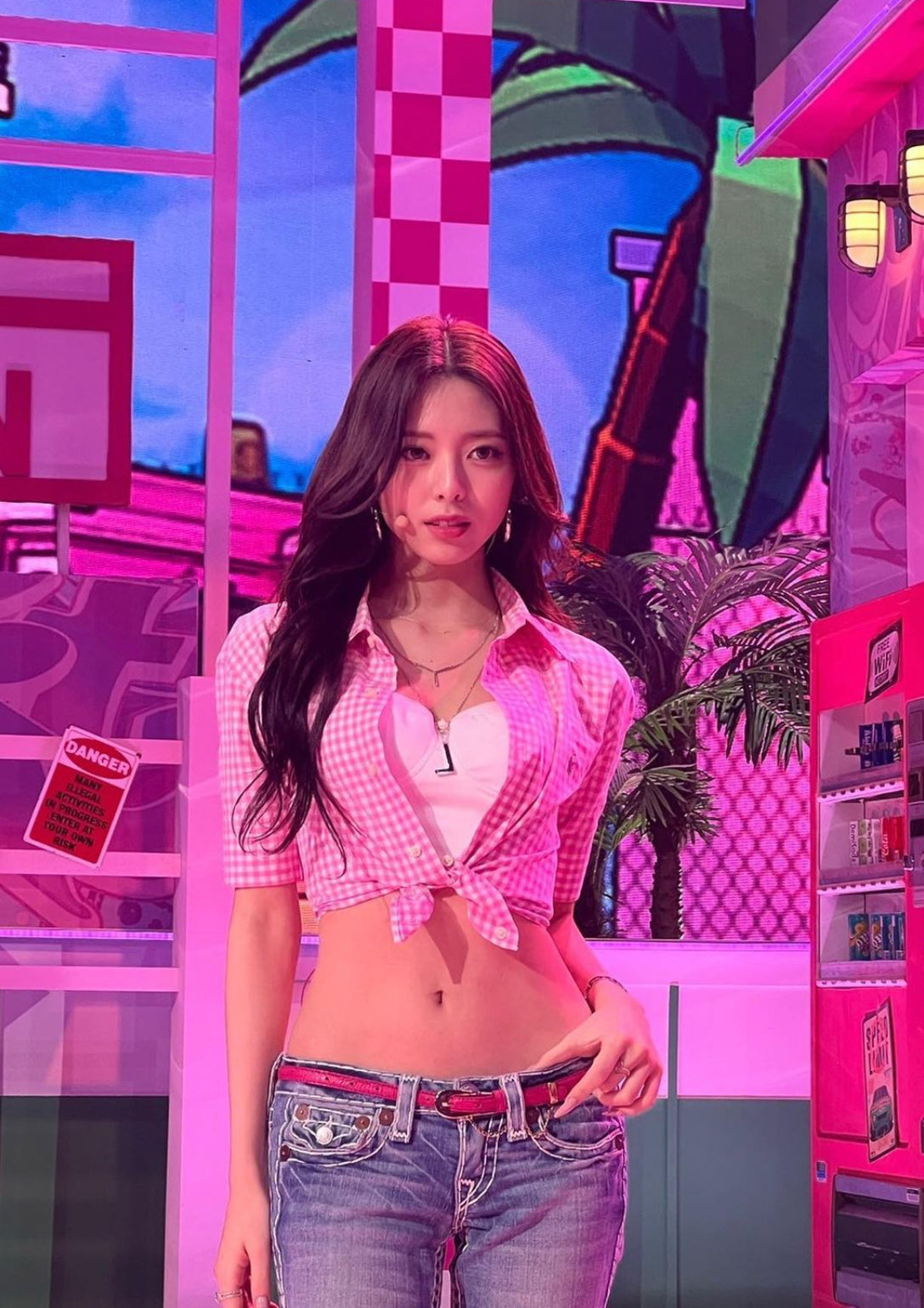 Pink Gingham Crop Tie Front Shirt