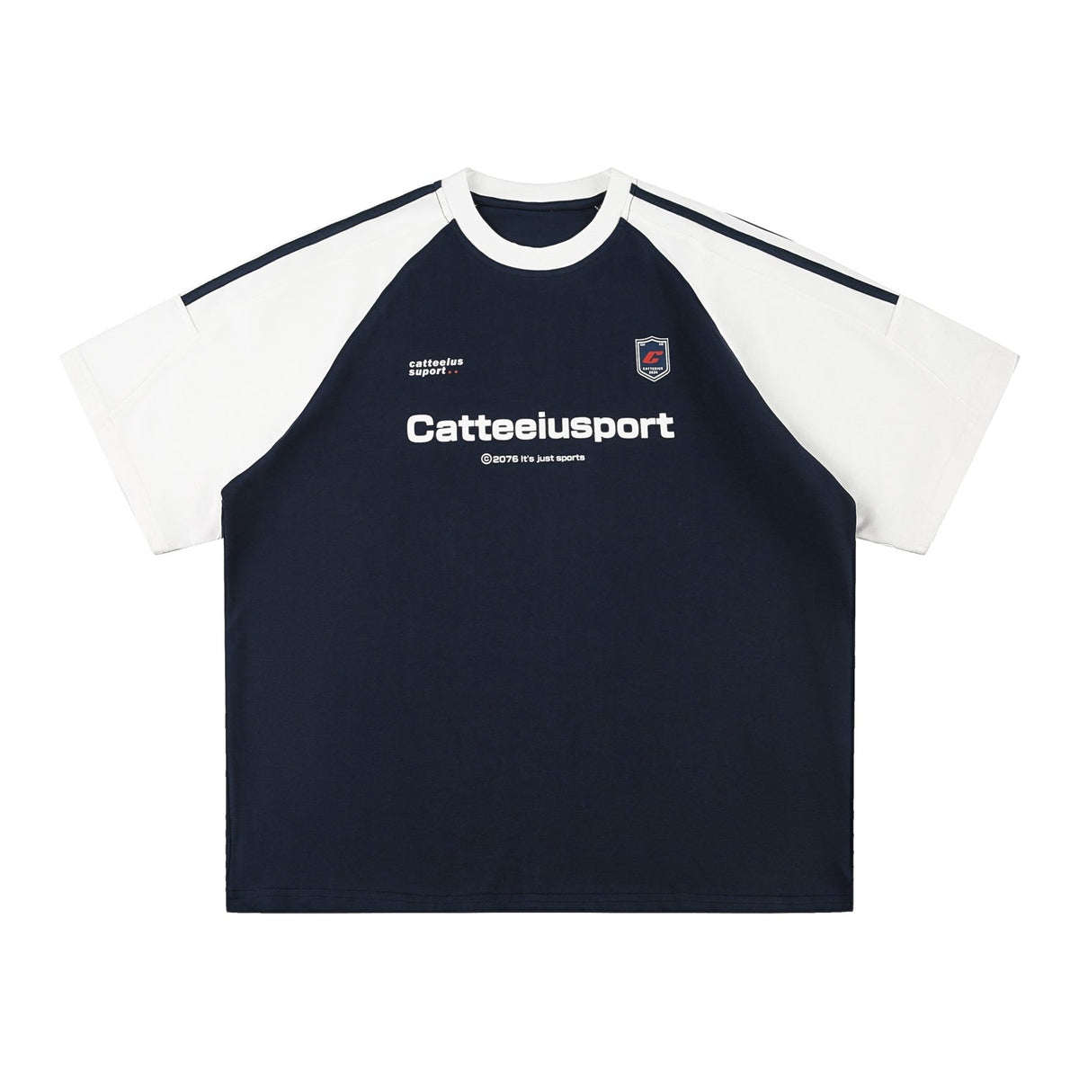 Retro Colorblock Raglan Sleeve Loose Fit T Shirt