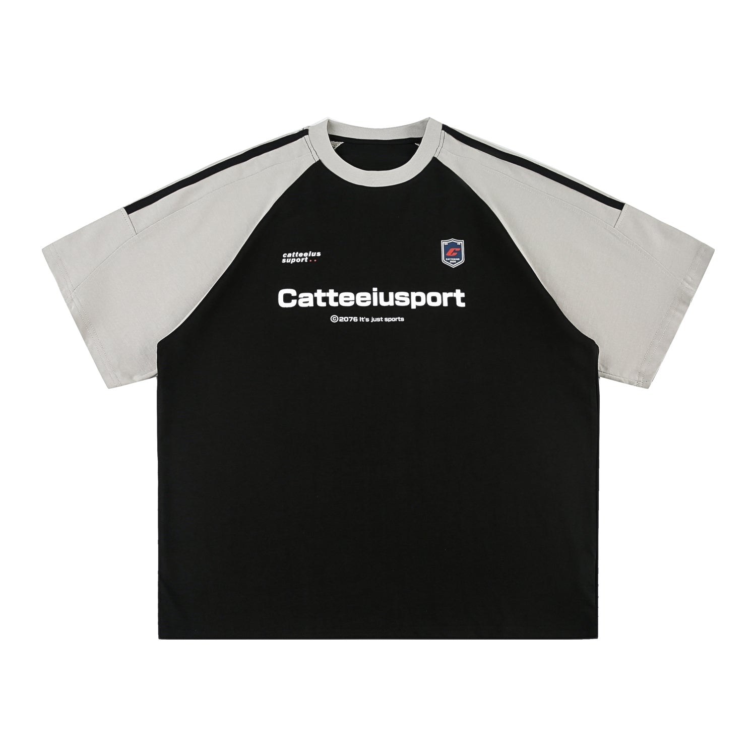 Retro Colorblock Raglan Sleeve Loose Fit T Shirt