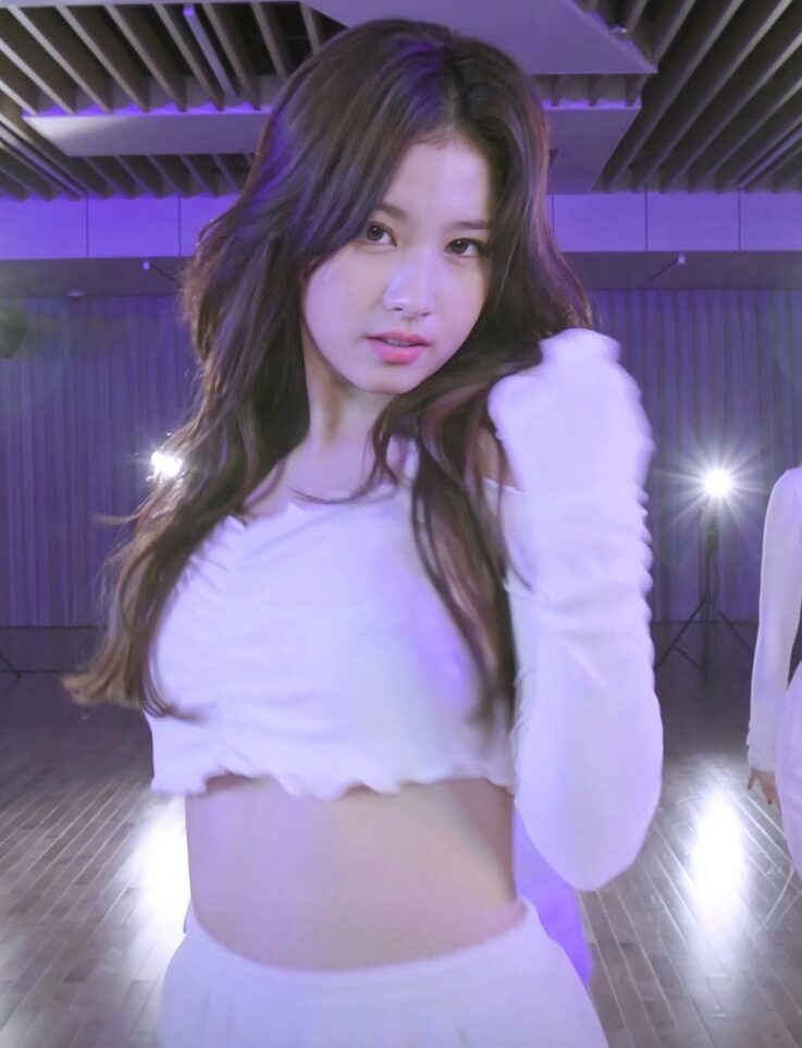 White Long Sleeve Lettuce  Crop Top