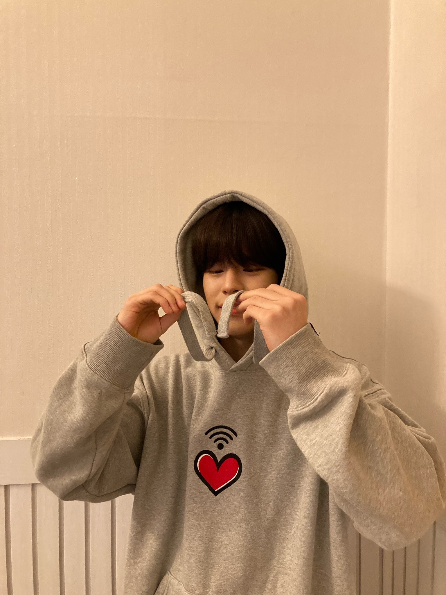 Grey Heart Printed Hoodie