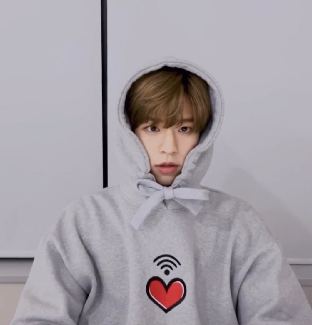 Grey Heart Printed Hoodie