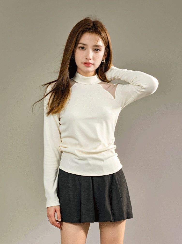 Sheer Long Sleeve High Neck Top