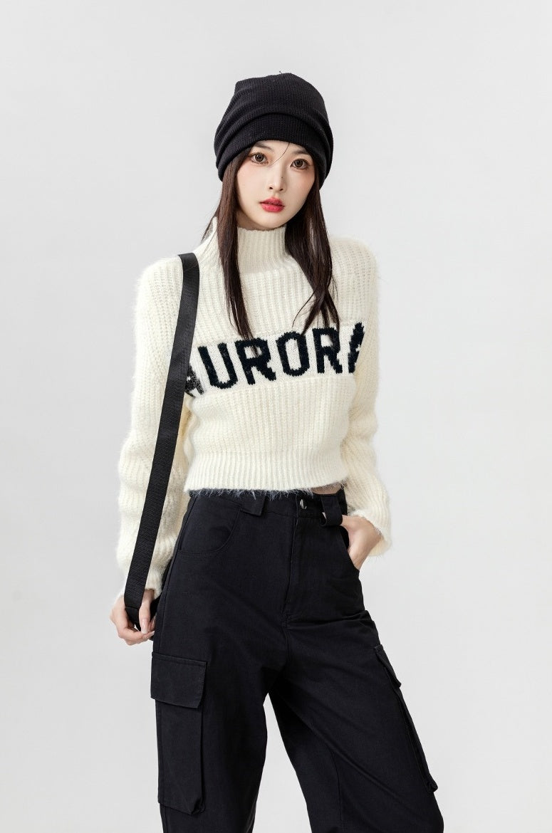Thick Turtleneck Knit Sweater