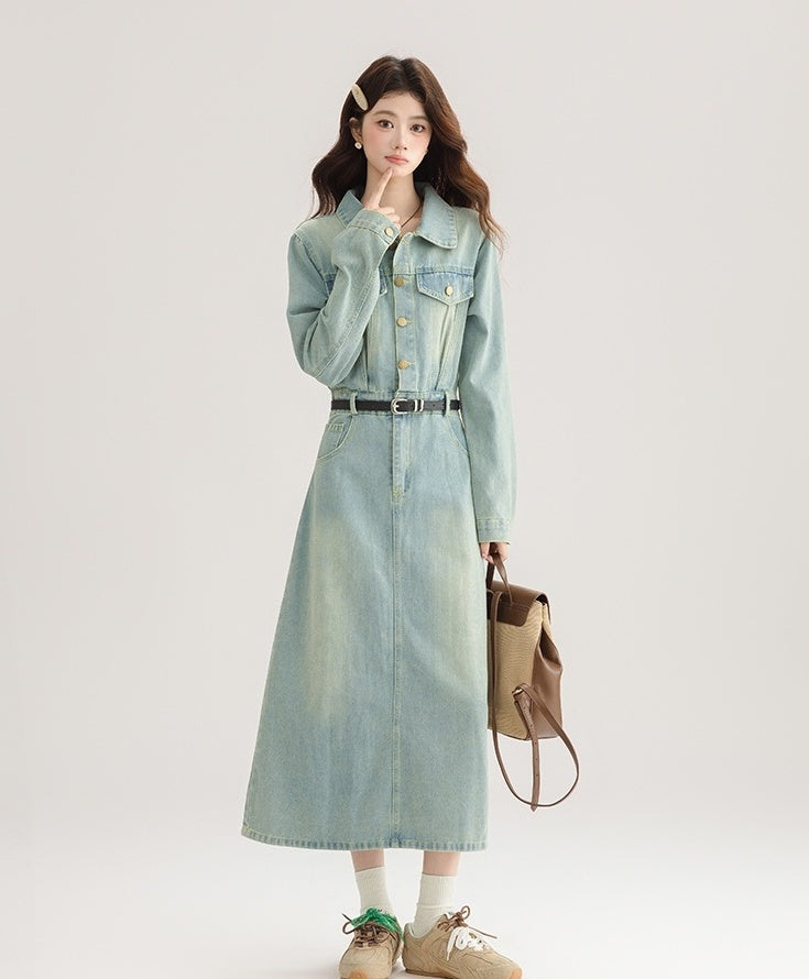 Vintage French Denim Dress