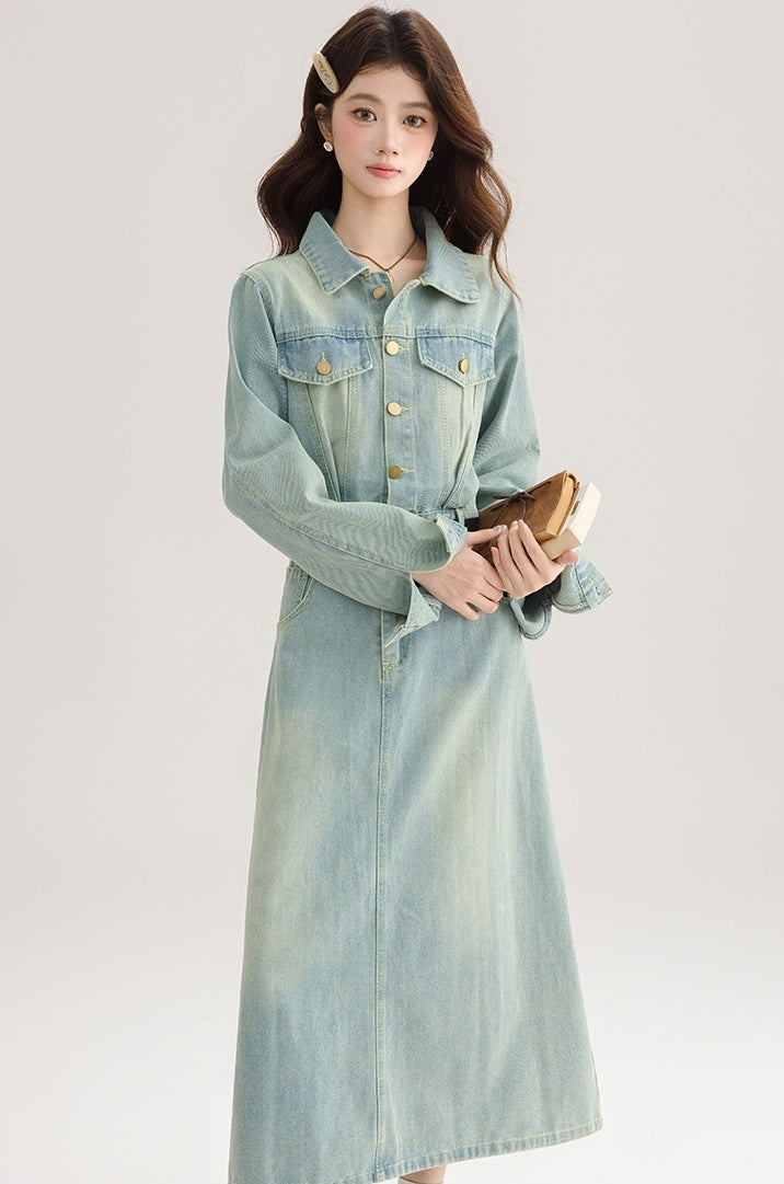 Vintage French Denim Dress