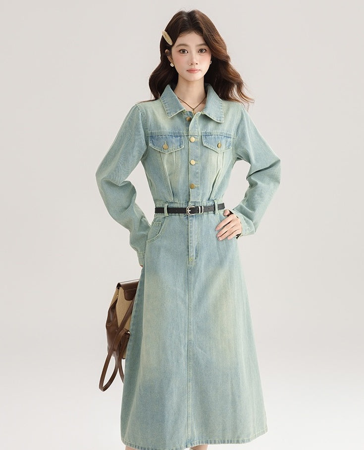 Vintage French Denim Dress