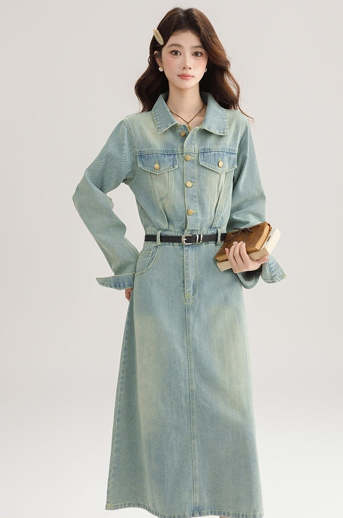 Vintage French Denim Dress