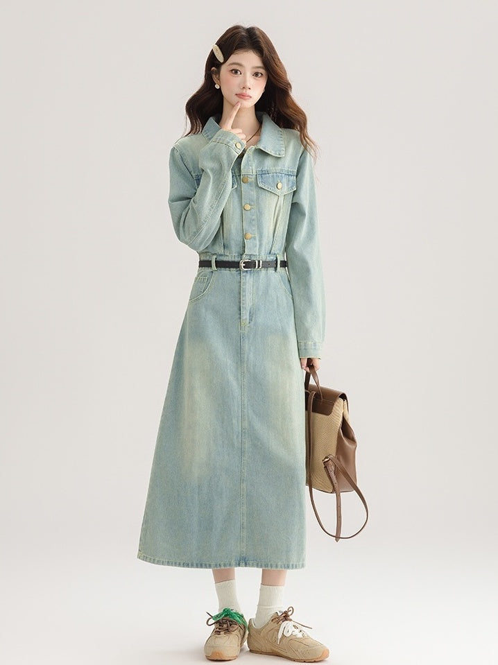 Vintage French Denim Dress