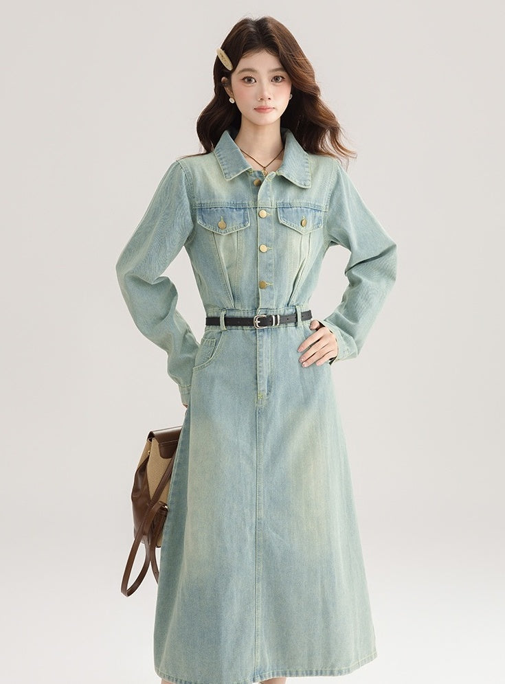 Vintage French Denim Dress