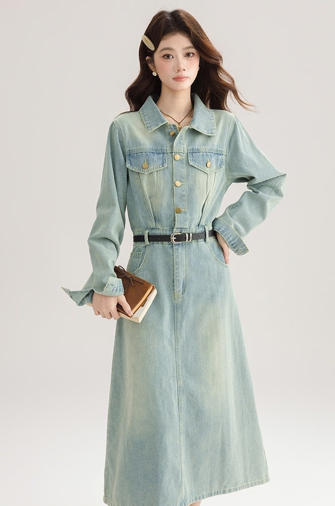 Vintage French Denim Dress