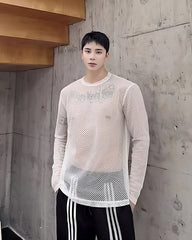 White Hollow Net Long Sleeves Top
