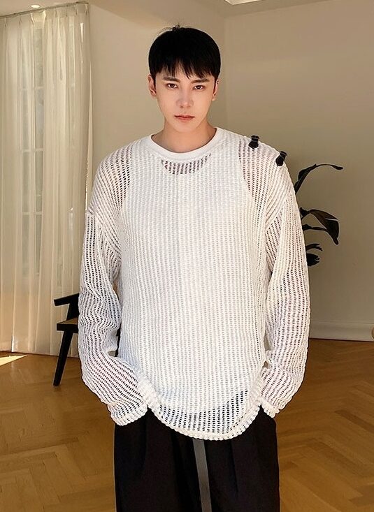 White Net Long Sleeves Top