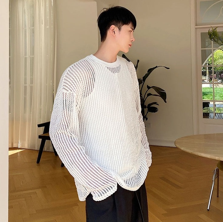 White Net Long Sleeves Top