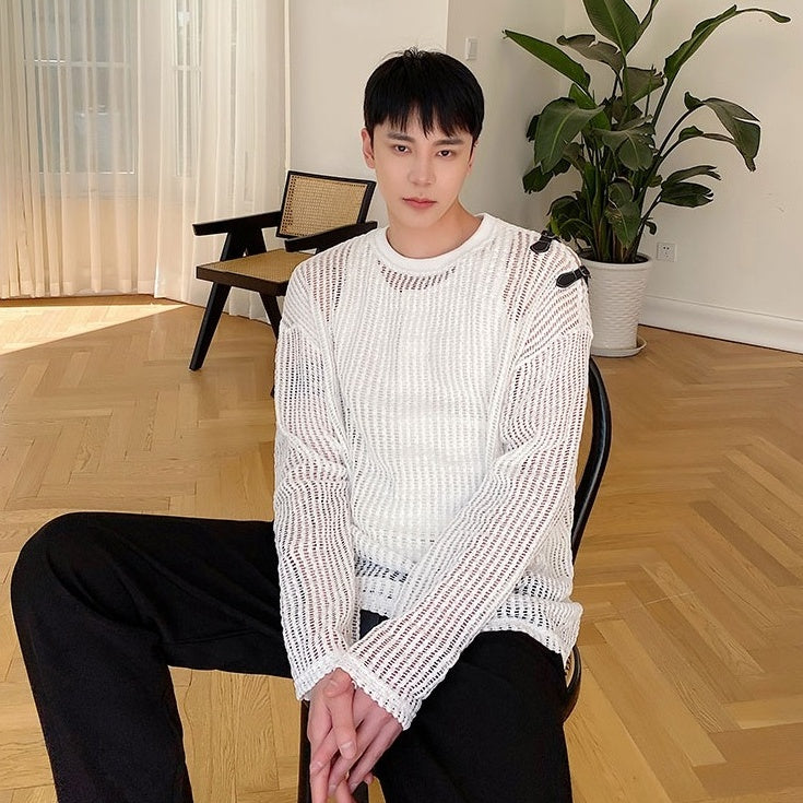 White Net Long Sleeves Top