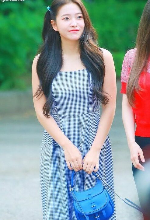 Blue Plaid Sleeveless Dress