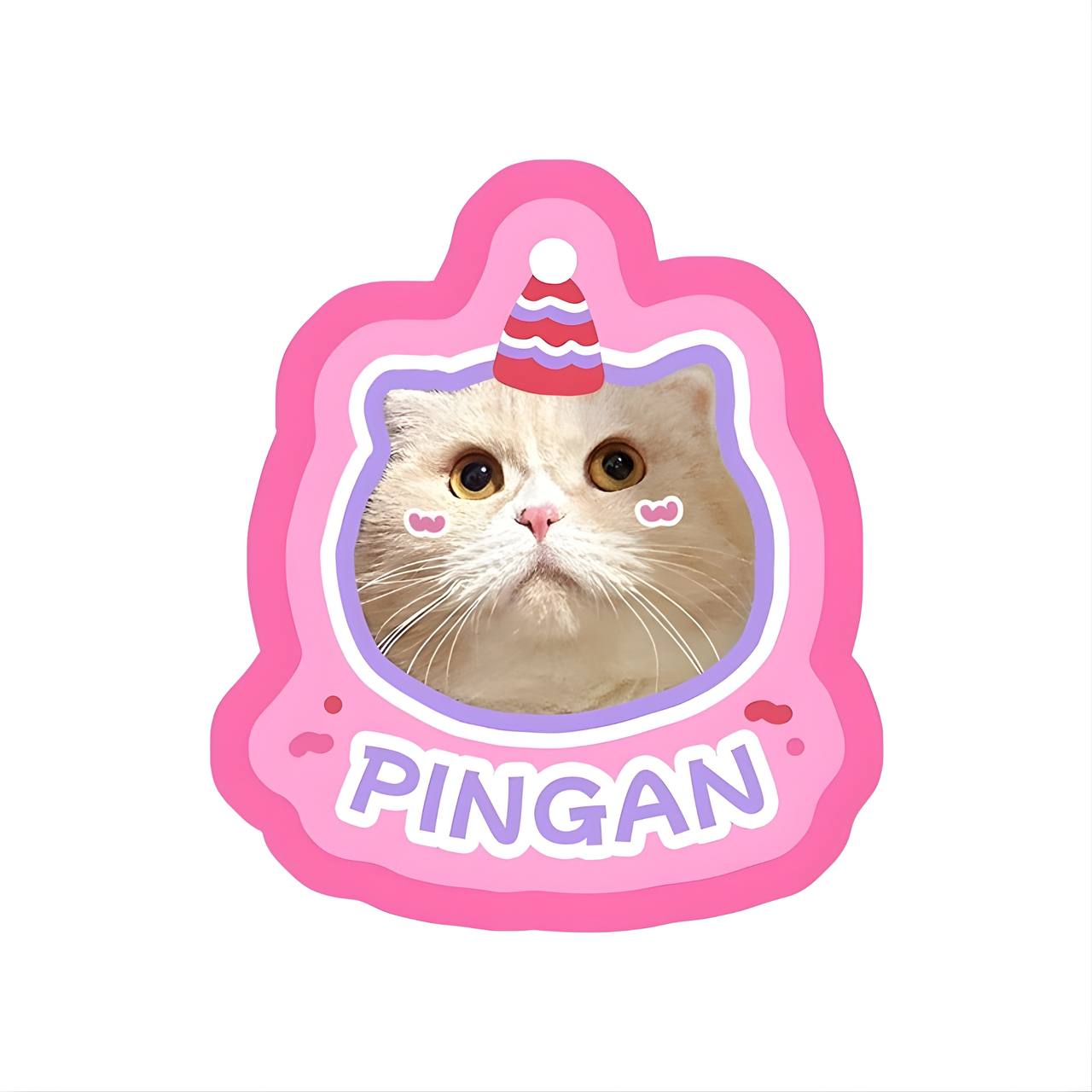 Custom Pet Rug From Photo