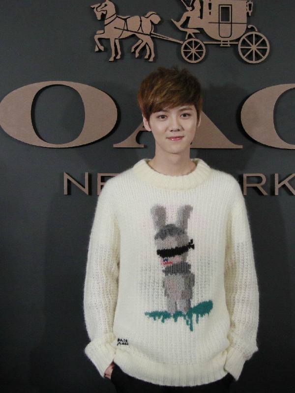 White Blind Rabbit Sweater